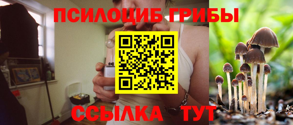 Псилоцибиновые грибы Psilocybe  Вход с VPN  Гуково 